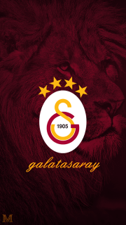 Galatasaray Arma - Galatasaray #7