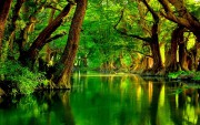 Yeşil Nehir
